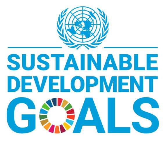 UN Logo Sustainable Development Goals